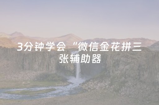 3分钟学会“微信金花拼三张辅助器（专用辅牌神器免安装）