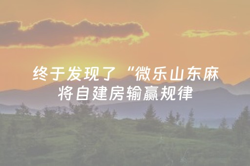 终于发现了“微乐山东麻将自建房输赢规律（专用辅牌神器免安装）
