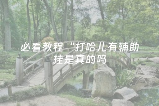 必看教程“打哈儿有辅助挂是真的吗（助赢神器通用版）