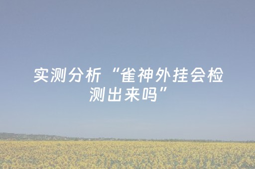 实测分析“雀神外挂会检测出来吗”（详细透视教程）-哔哩哔哩
