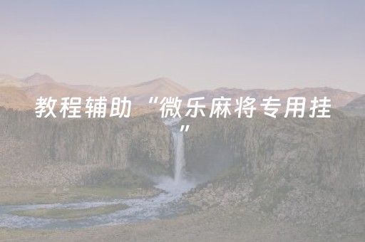 教程辅助“微乐麻将专用挂”（详细透视教程）-哔哩哔哩