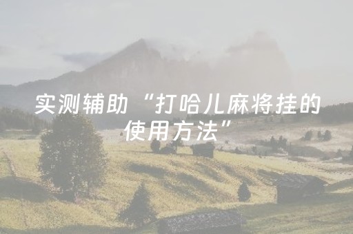 实测辅助“打哈儿麻将挂的使用方法”（详细透视教程）-哔哩哔哩