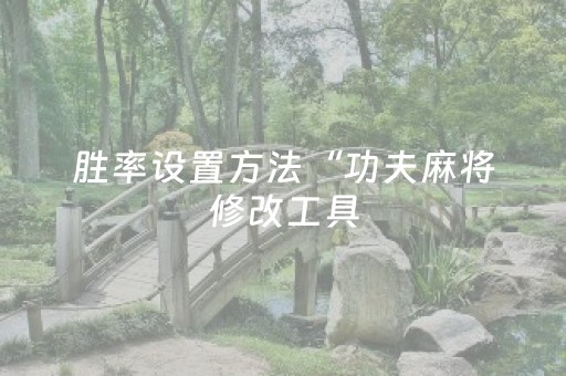 胜率设置方法“功夫麻将修改工具（专用辅牌神器免安装）