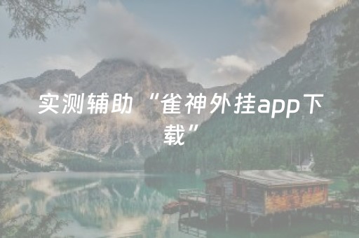 实测辅助“雀神外挂app下载”（详细透视教程）-哔哩哔哩