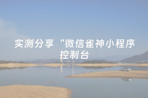 实测分享“微信雀神小程序控制台（助赢神器通用版）