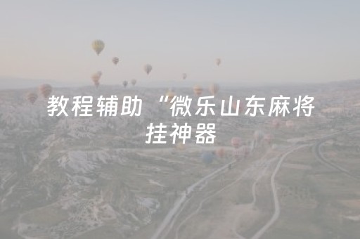 教程辅助“微乐山东麻将挂神器（专用辅牌神器免安装）