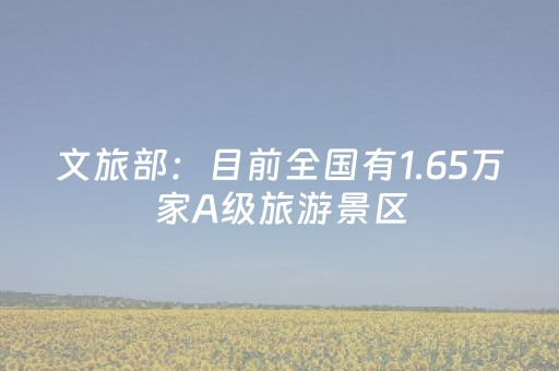 文旅部：目前全国有1.65万家A级旅游景区
