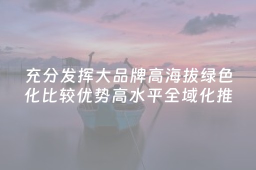 充分发挥大品牌高海拔绿色化比较优势高水平全域化推动文旅康养产业快速健康可持续发展