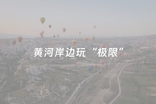 黄河岸边玩“极限”