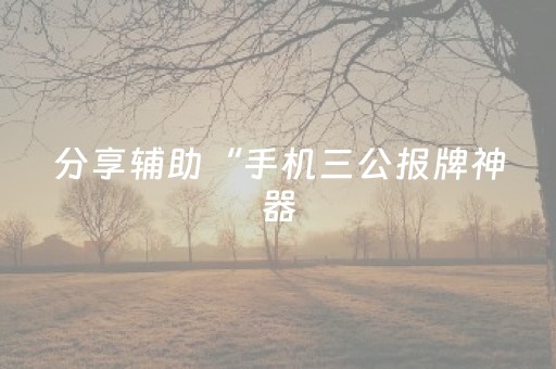 分享辅助“手机三公报牌神器（专用辅牌神器免安装）