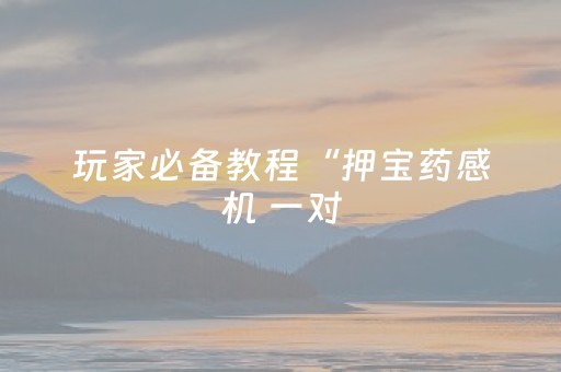玩家必备教程“押宝药感机 一对（专用辅牌神器免安装）