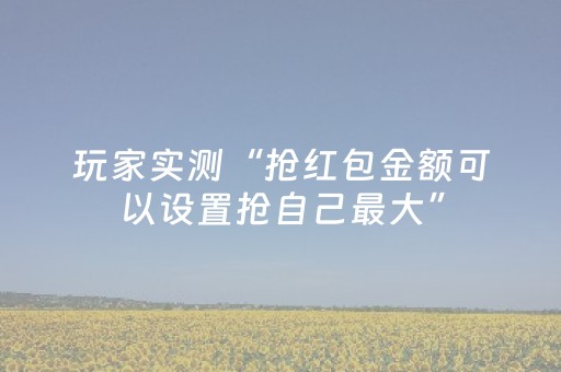 玩家实测“抢红包金额可以设置抢自己最大”（详细透视教程）-哔哩哔哩