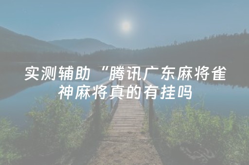 实测辅助“腾讯广东麻将雀神麻将真的有挂吗（专用辅牌神器免安装）