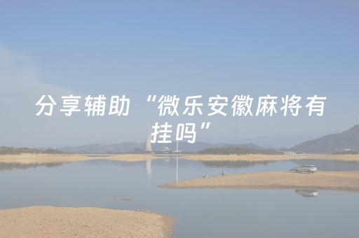 分享辅助“微乐安徽麻将有挂吗”（详细透视教程）-哔哩哔哩