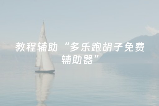 教程辅助“多乐跑胡子免费辅助器”（详细透视教程）-哔哩哔哩