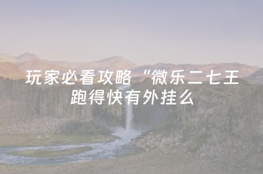 玩家必看攻略“微乐二七王跑得快有外挂么（专用辅牌神器免安装）