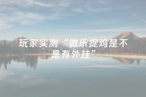 玩家实测“微乐捉鸡是不是有外挂”（详细透视教程）-哔哩哔哩