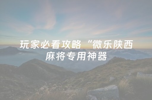 玩家必看攻略“微乐陕西麻将专用神器（专用辅牌神器免安装）