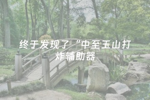 终于发现了“中至玉山打炸辅助器（助赢神器通用版）
