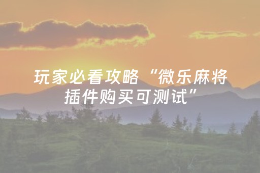 玩家必看攻略“微乐麻将插件购买可测试”（详细透视教程）-哔哩哔哩