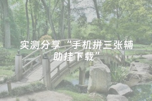 实测分享“手机拼三张辅助挂下载”（详细辅助教程）-哔哩哔哩