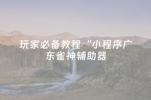 玩家必备教程“小程序广东雀神辅助器（专用辅牌神器免安装）