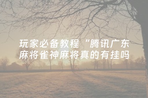 玩家必备教程“腾讯广东麻将雀神麻将真的有挂吗（专用辅牌神器免安装）