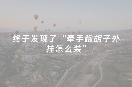 终于发现了“牵手跑胡子外挂怎么装”（详细透视教程）-哔哩哔哩