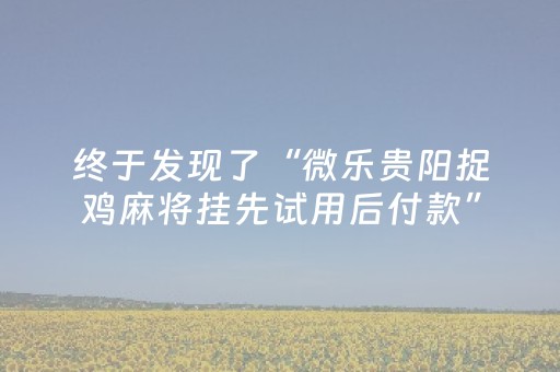 终于发现了“微乐贵阳捉鸡麻将挂先试用后付款”（详细透视教程）-哔哩哔哩