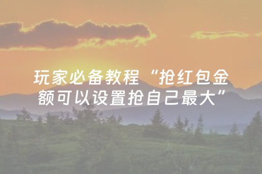 玩家必备教程“抢红包金额可以设置抢自己最大”（详细透视教程）-哔哩哔哩
