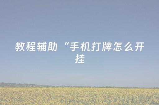 教程辅助“手机打牌怎么开挂（专用辅牌神器免安装）