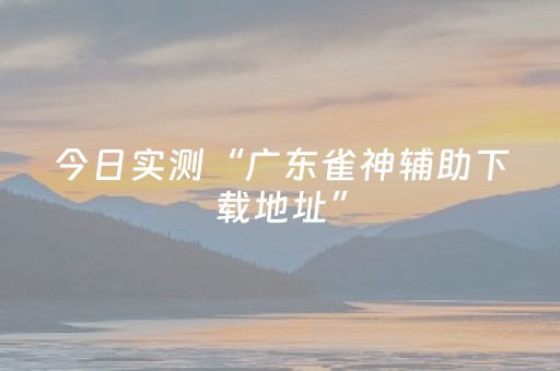 今日实测“广东雀神辅助下载地址”（详细辅助教程）-哔哩哔哩