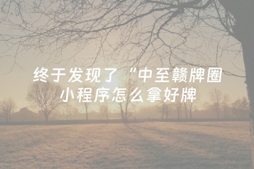 终于发现了“中至赣牌圈小程序怎么拿好牌（专用辅牌神器免安装）