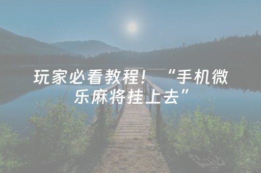 玩家必看教程！“手机微乐麻将挂上去”（详细透视教程）-哔哩哔哩