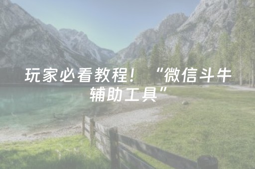 玩家必看教程！“微信斗牛辅助工具”（详细透视教程）-哔哩哔哩