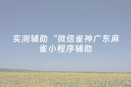 实测辅助“微信雀神广东麻雀小程序辅助（专用辅牌神器免安装）