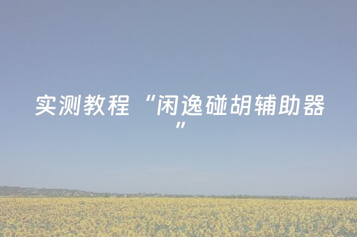 实测教程“闲逸碰胡辅助器”（详细透视教程）-哔哩哔哩