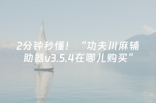 2分钟秒懂！“功夫川麻辅助器v3.5.4在哪儿购买”（详细辅助教程）-哔哩哔哩