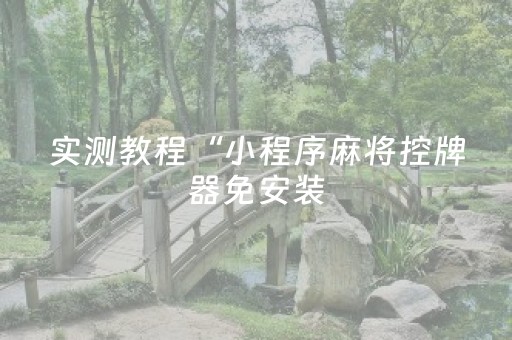 实测教程“小程序麻将控牌器免安装（专用辅牌神器免安装）