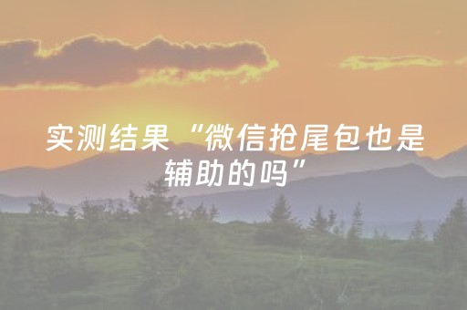 实测结果“微信抢尾包也是辅助的吗”（详细透视教程）-哔哩哔哩