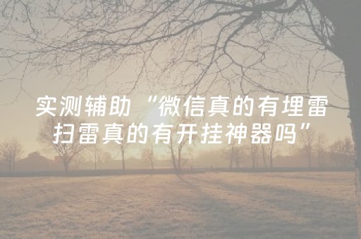实测辅助“微信真的有埋雷扫雷真的有开挂神器吗”（详细透视教程）-哔哩哔哩