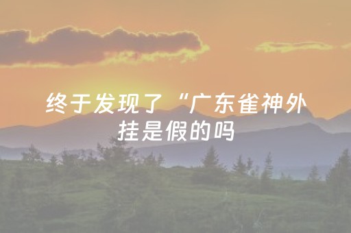 终于发现了“广东雀神外挂是假的吗（助赢神器通用版）