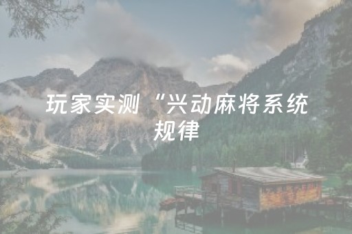 玩家实测“兴动麻将系统规律（专用辅牌神器免安装）
