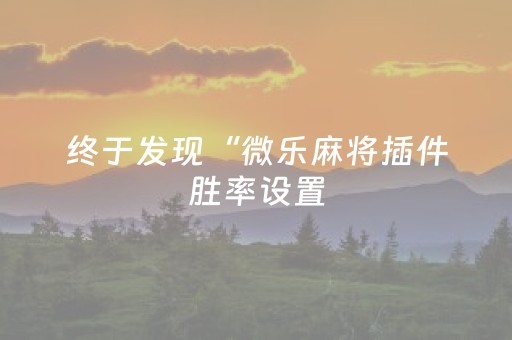 终于发现“微乐麻将插件胜率设置（助赢神器通用版）