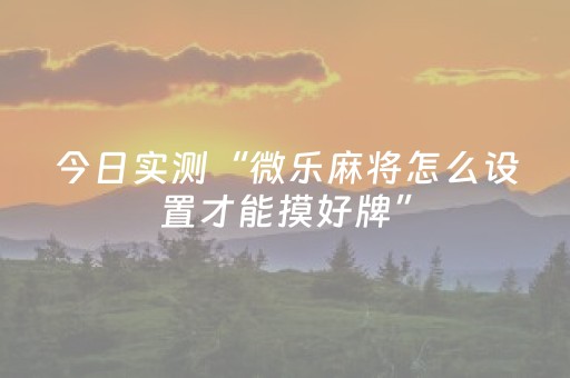今日实测“微乐麻将怎么设置才能摸好牌”（详细开挂教程）-哔哩哔哩