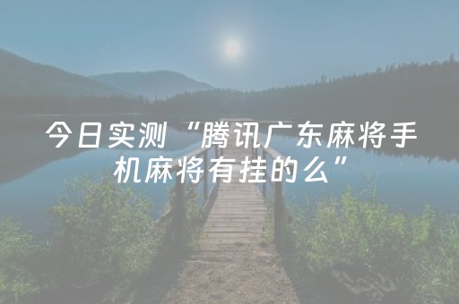 今日实测“腾讯广东麻将手机麻将有挂的么”（详细透视教程）-哔哩哔哩