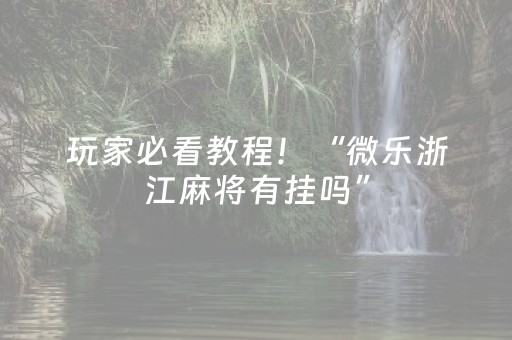 教程辅助“微信小程序雀神辅助器免费下载”（详细透视教程）-哔哩哔哩