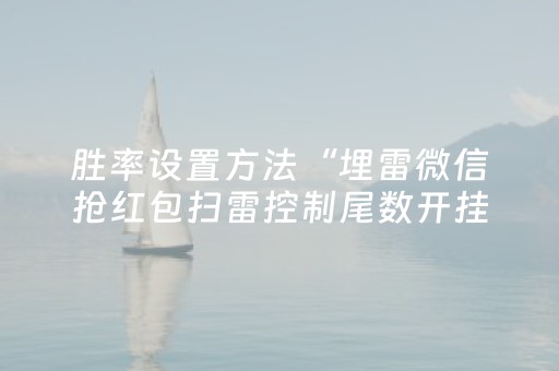 胜率设置方法“埋雷微信抢红包扫雷控制尾数开挂软件下载”（详细透视教程）-哔哩哔哩