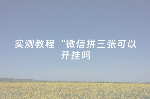 实测教程“微信拼三张可以开挂吗（专用辅牌神器免安装）
