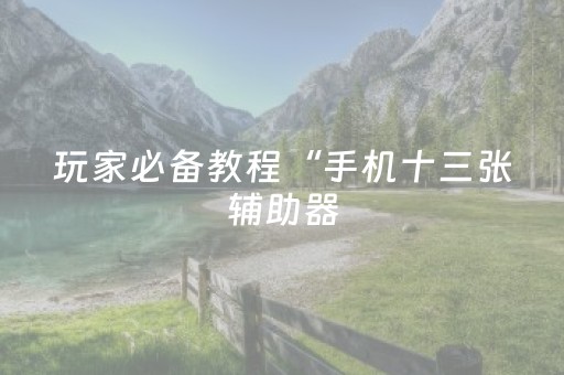 玩家必备教程“手机十三张辅助器（助赢神器通用版）